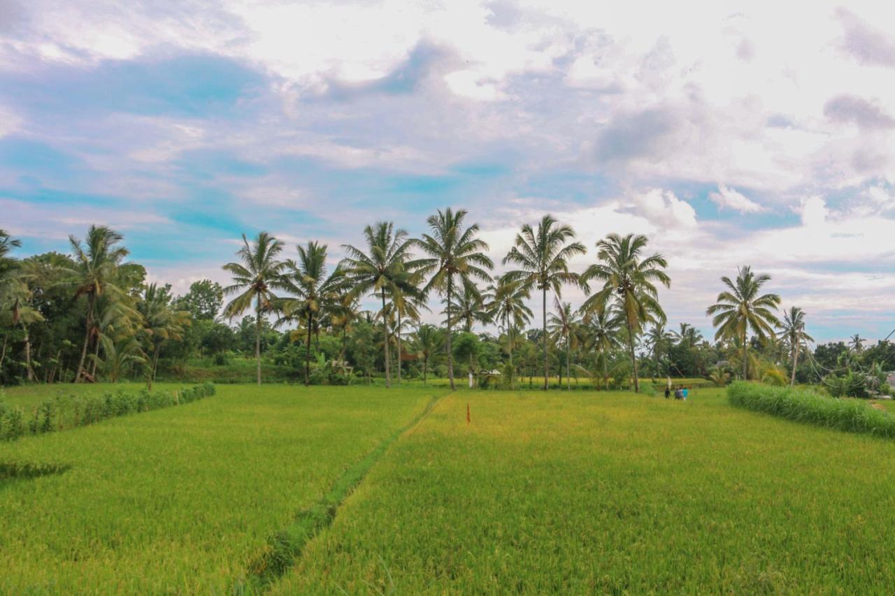 Pondok Rinjani Bungalow Tetebatu Kültér fotó